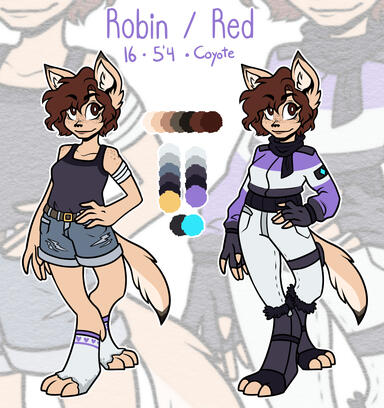 Robin | OC